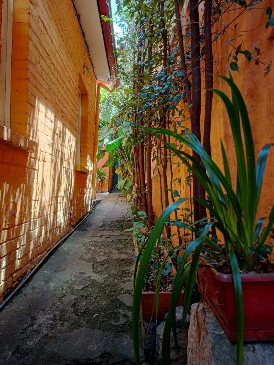شقة Casa-Arbol بوغوتا المظهر الخارجي الصورة