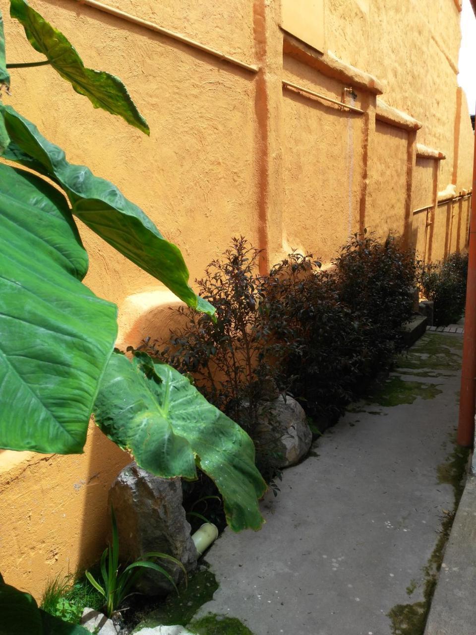شقة Casa-Arbol بوغوتا المظهر الخارجي الصورة